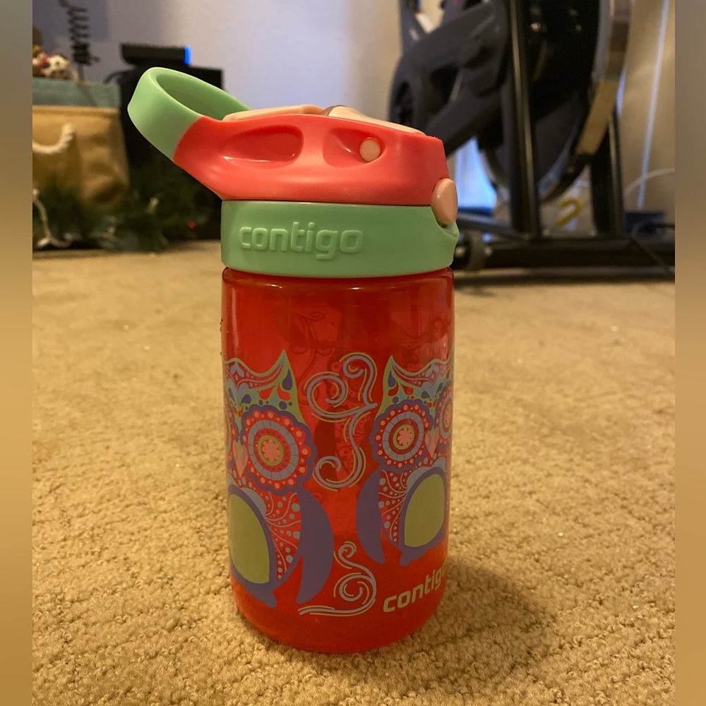 Kids Contigo Owl Water Bottle